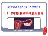 人教版高中生物选修三专题三胚胎工程++3.1+体内受精和早期胚胎发育+（共31张ppt）