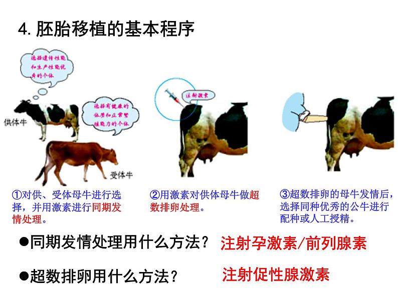 人教版高中生物选修三专题三胚胎工程++3-3+胚胎工程的应用及前景（共21张ppt）05