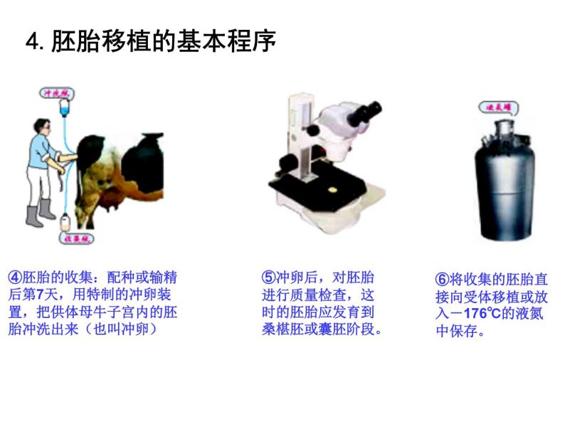 人教版高中生物选修三专题三胚胎工程++3-3+胚胎工程的应用及前景（共21张ppt）06