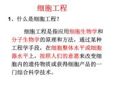 人教版高中生物选修三专题2细胞工程  2.1.1植物细胞工程的基本技术（共40张ppt）