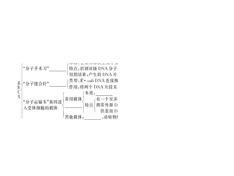 生物人教版大一轮复习课件：第41讲基因工程第4页