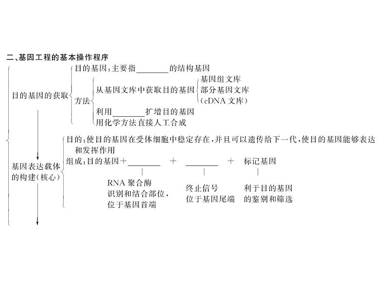 生物人教版大一轮复习课件：第41讲基因工程第5页