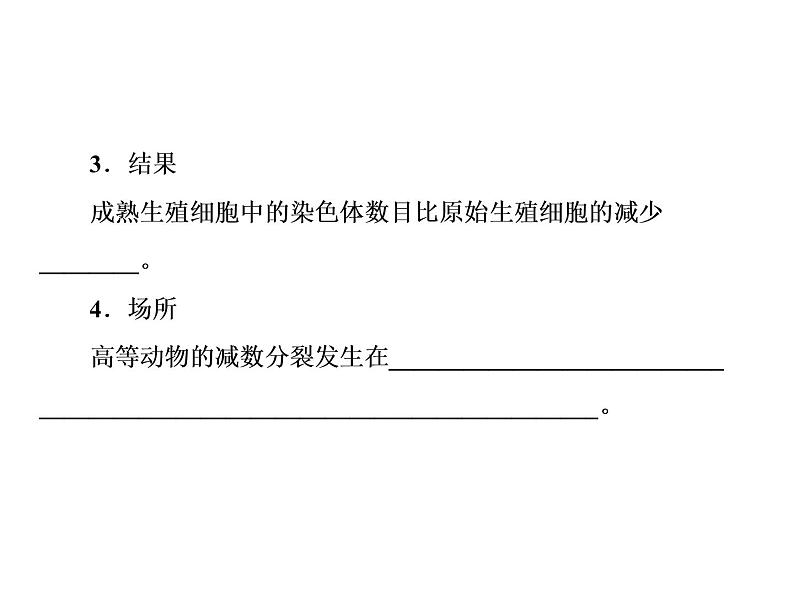 生物人教版大一轮复习课件：第13讲减数分裂和受精作用第4页