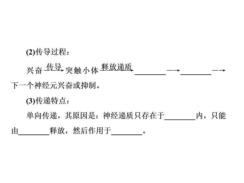 生物人教版大一轮复习课件：第26讲人和高等动物的神经调节06