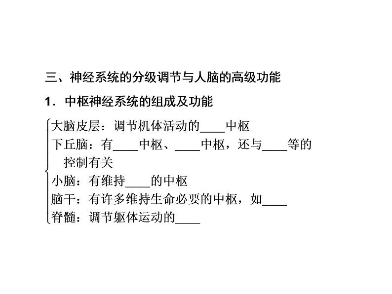 生物人教版大一轮复习课件：第26讲人和高等动物的神经调节07