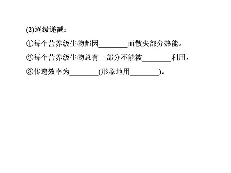 生物人教版大一轮复习课件：第35讲生态系统的能量流动和物质循环第7页