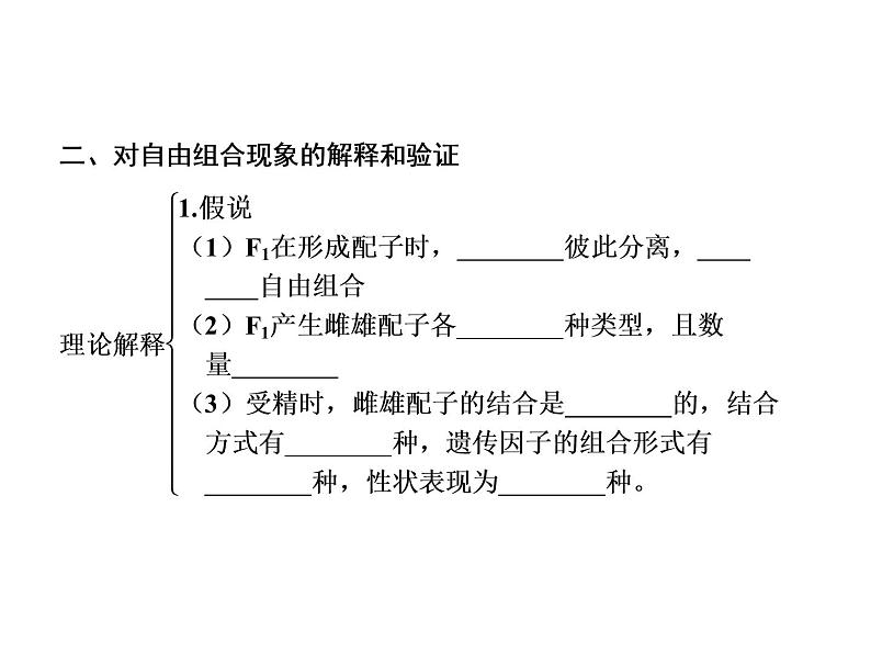 生物人教版大一轮复习课件：第15讲基因的自由组合定律第4页