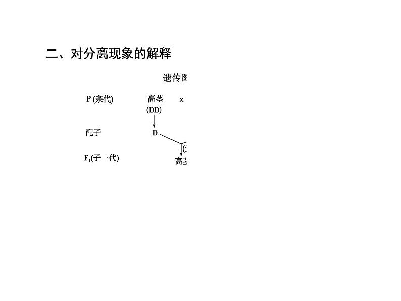 生物人教版大一轮复习课件：第14讲基因的分离定律第6页