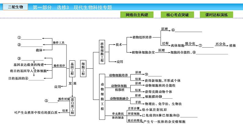 高三生物大二轮专题复习课件：选修3.104