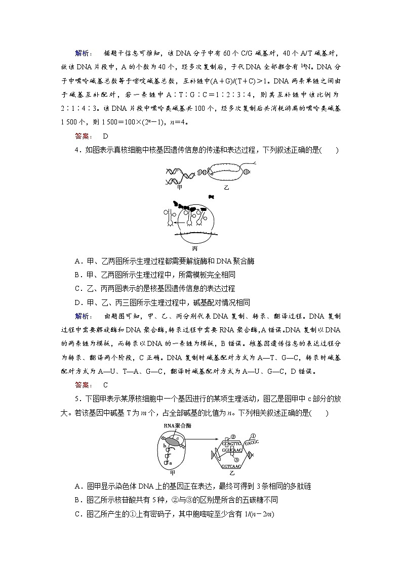 高三生物大二轮专题复习测试：专题四 遗传、变异和进化4.1 word版含答案第2页