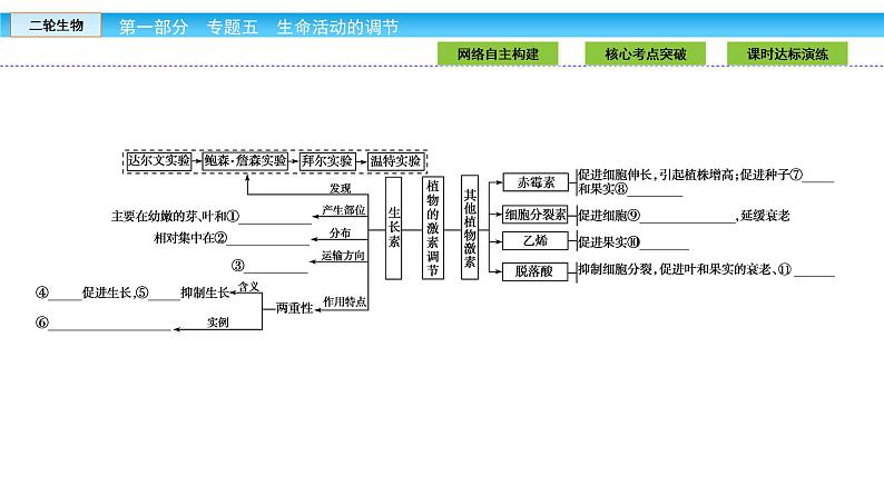 高三生物大二轮专题复习课件：专题五 生命活动的调节5.3第3页