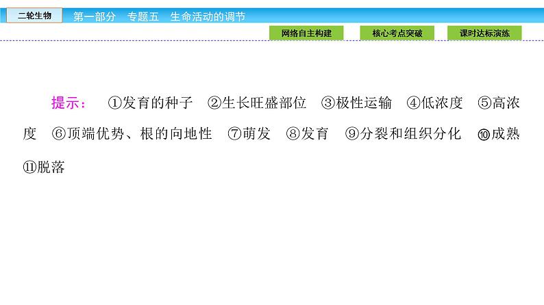 高三生物大二轮专题复习课件：专题五 生命活动的调节5.3第4页