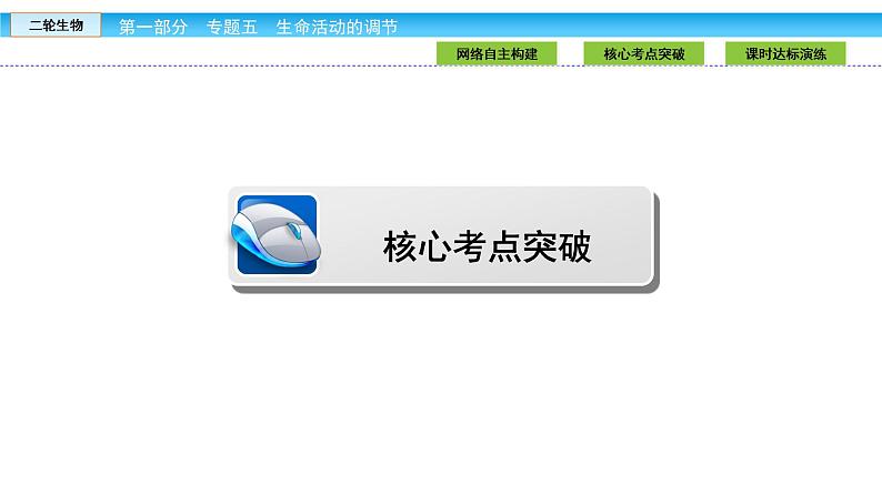 高三生物大二轮专题复习课件：专题五 生命活动的调节5.3第5页