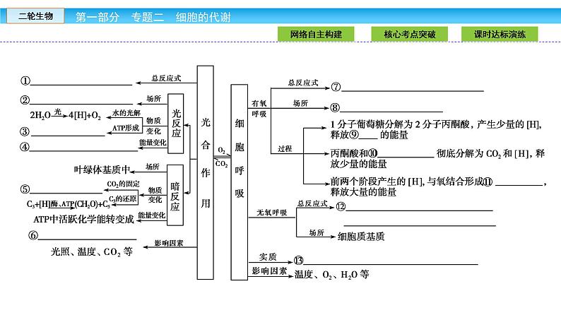 高三生物大二轮专题复习课件：专题二 细胞的代谢2.2第3页