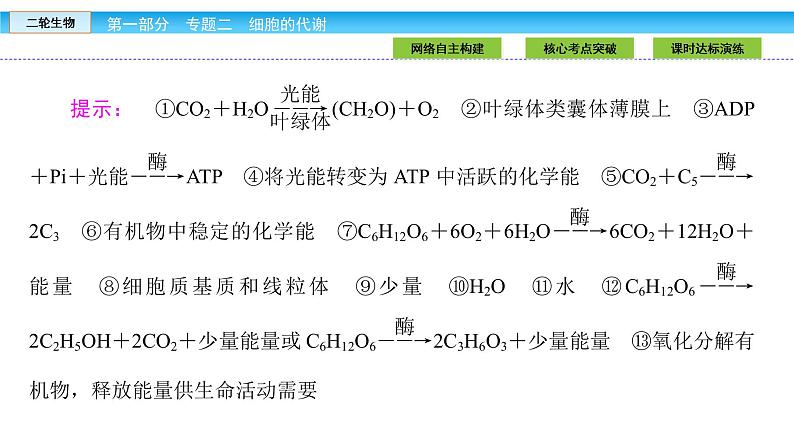 高三生物大二轮专题复习课件：专题二 细胞的代谢2.2第4页