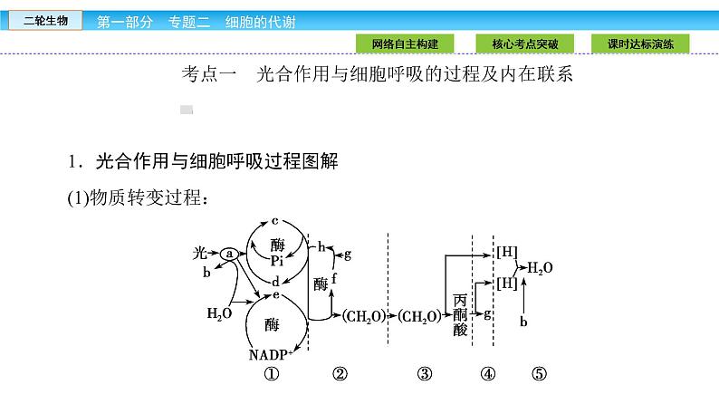 高三生物大二轮专题复习课件：专题二 细胞的代谢2.2第6页