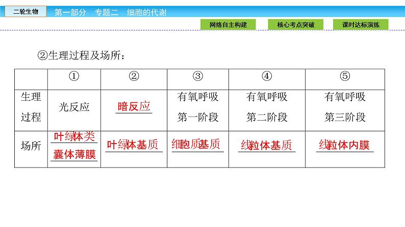 高三生物大二轮专题复习课件：专题二 细胞的代谢2.2第8页