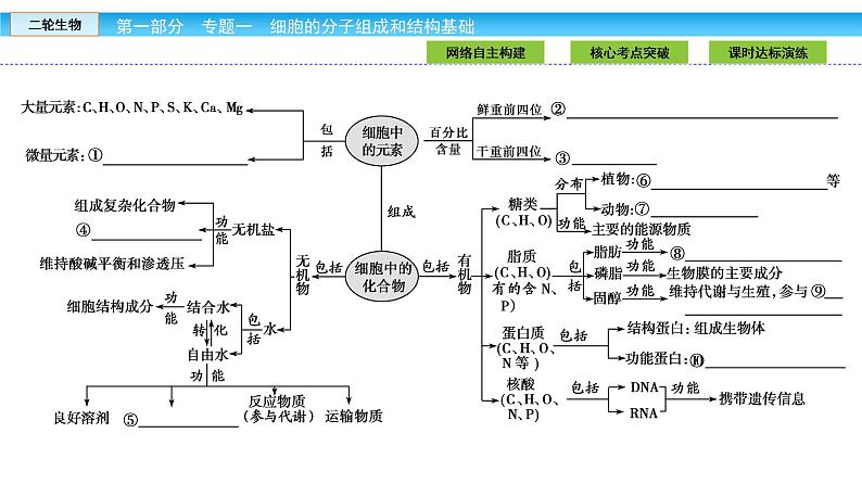 高三生物大二轮专题复习课件：专题一细胞的分子组成和结构基础1.1第5页