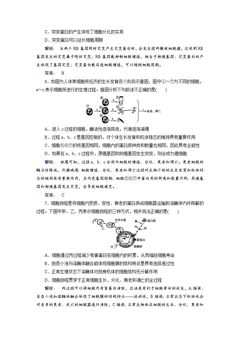 高三生物大二轮专题复习测试：专题三 细胞的生命历程3.2 word版含答案03