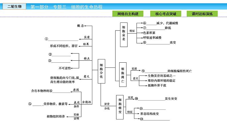 高三生物大二轮专题复习课件：专题三 细胞的生命历程3.203