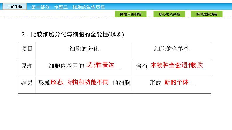 高三生物大二轮专题复习课件：专题三 细胞的生命历程3.207