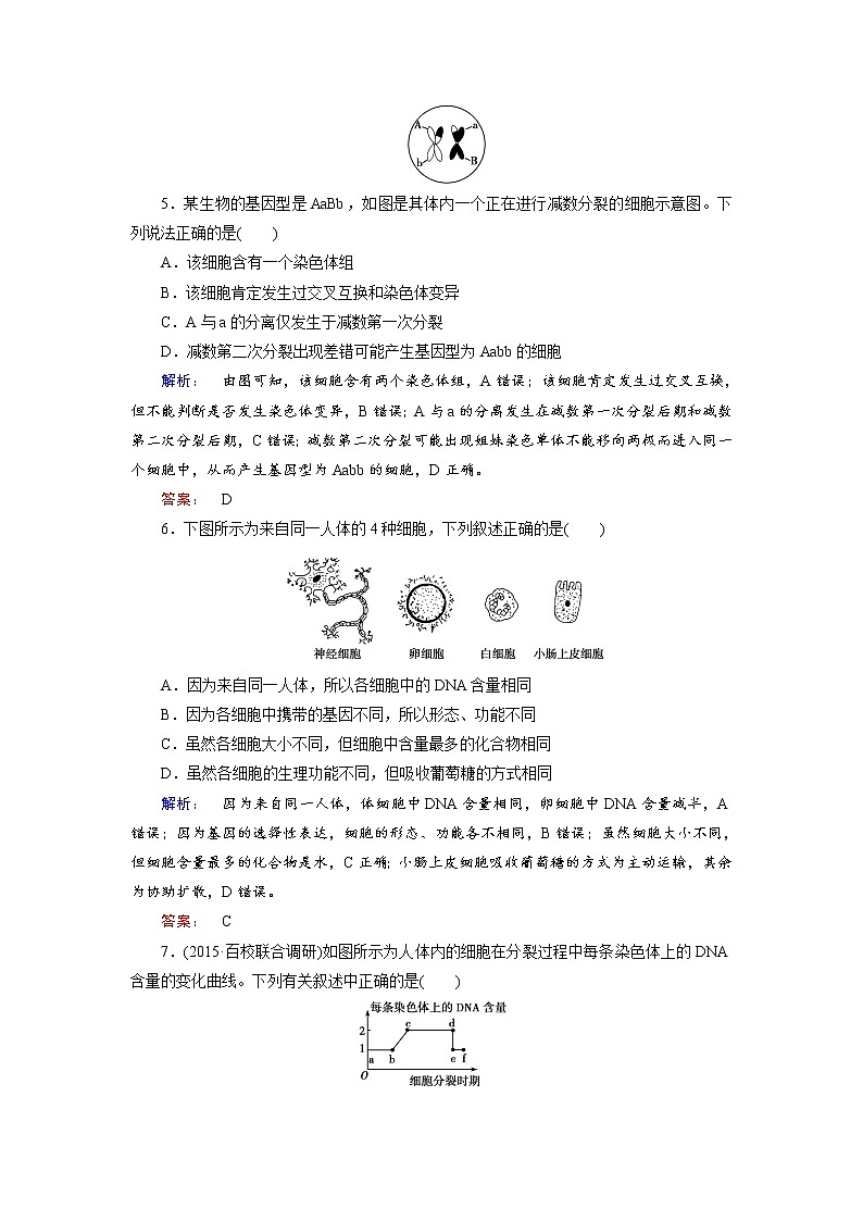 高三生物大二轮专题复习测试：专题质量检测3 word版含答案第3页