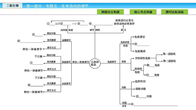 高三生物大二轮专题复习课件：专题五 生命活动的调节5.2第3页