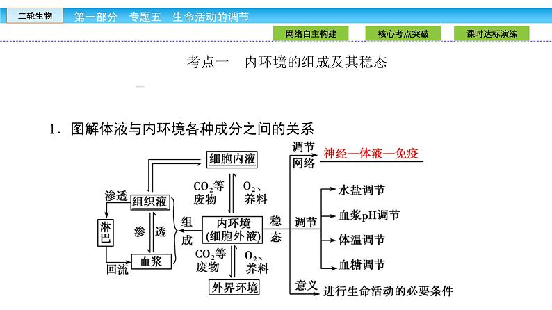 高三生物大二轮专题复习课件：专题五 生命活动的调节5.2第6页