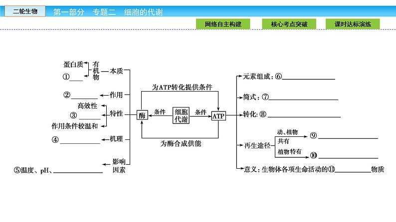 高三生物大二轮专题复习课件：专题二 细胞的代谢2.104