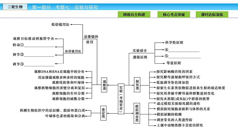 高三生物大二轮专题复习课件：专题七 实验与探究第4页