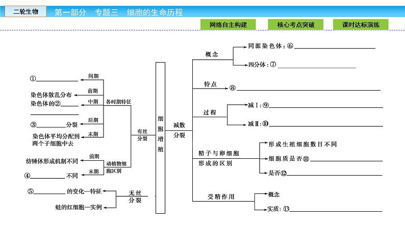 高三生物大二轮专题复习课件：专题三 细胞的生命历程3.104