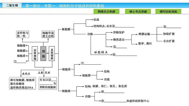 高三生物大二轮专题复习课件：专题一细胞的分子组成和结构基础1.2第3页