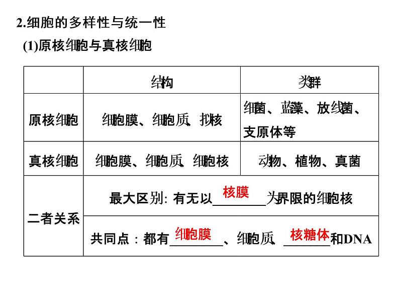 高考生物一轮总复习课件：专题2 细胞的结构和功能04