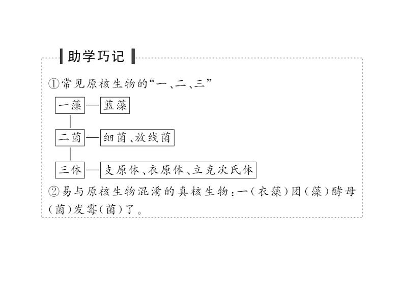 高考生物一轮总复习课件：专题2 细胞的结构和功能05