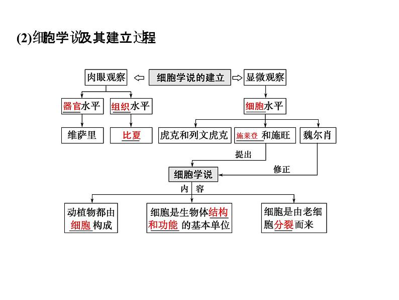 高考生物一轮总复习课件：专题2 细胞的结构和功能06