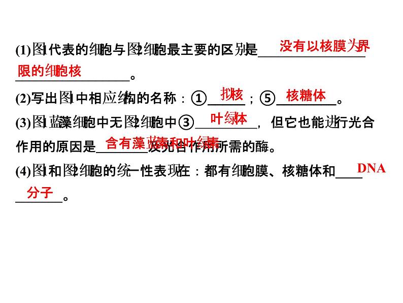 高考生物一轮总复习课件：专题2 细胞的结构和功能08