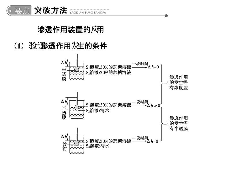 高考生物一轮总复习课件：专题3 物质出入细胞的方式第6页