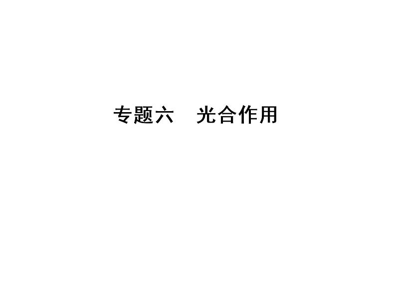 高考生物一轮总复习课件：专题6 光合作用第1页