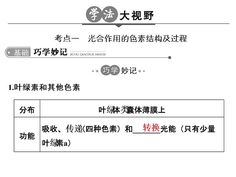 高考生物一轮总复习课件：专题6 光合作用第3页