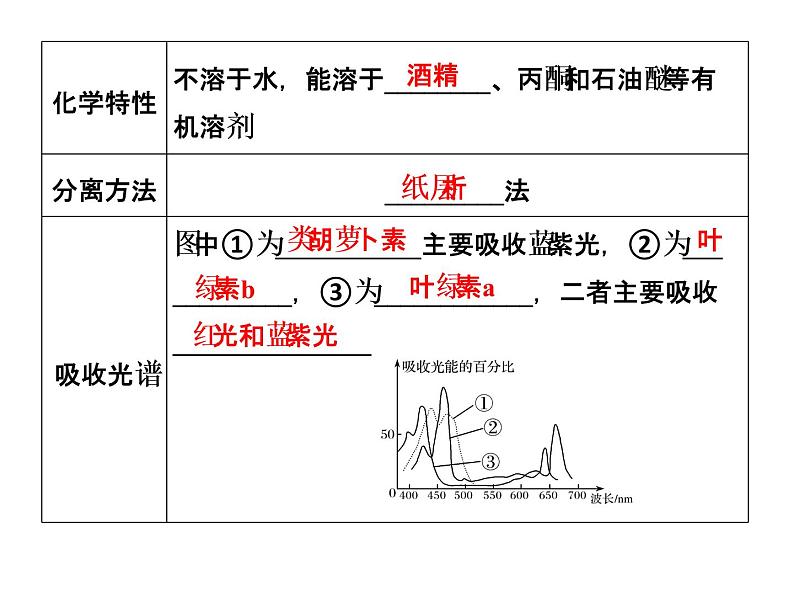 高考生物一轮总复习课件：专题6 光合作用第4页