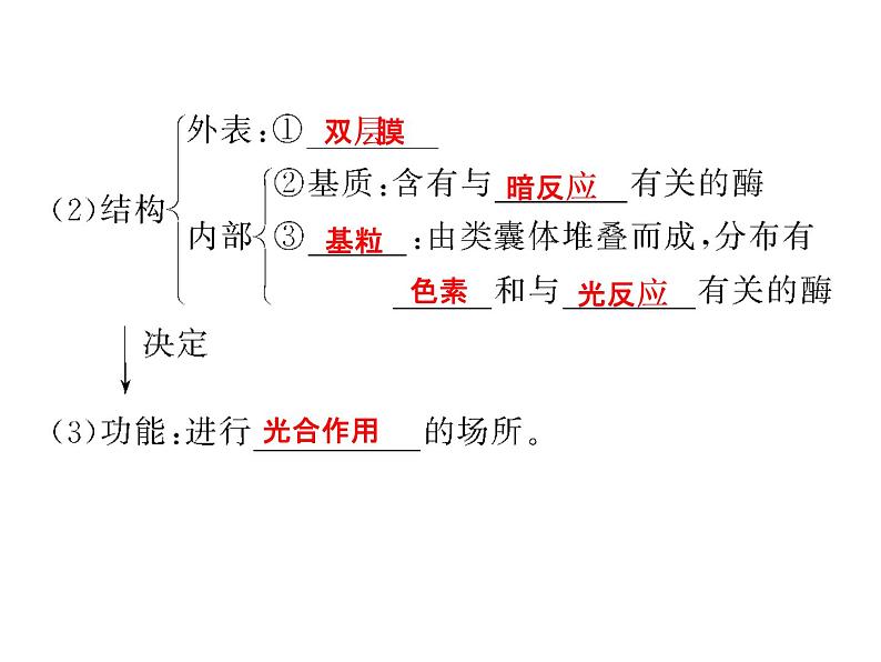 高考生物一轮总复习课件：专题6 光合作用第6页