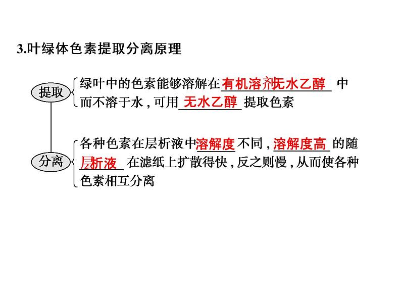 高考生物一轮总复习课件：专题6 光合作用第7页