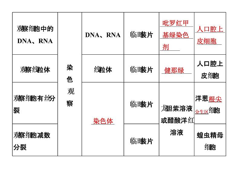 高考生物一轮总复习课件：专题21 实验与探究05