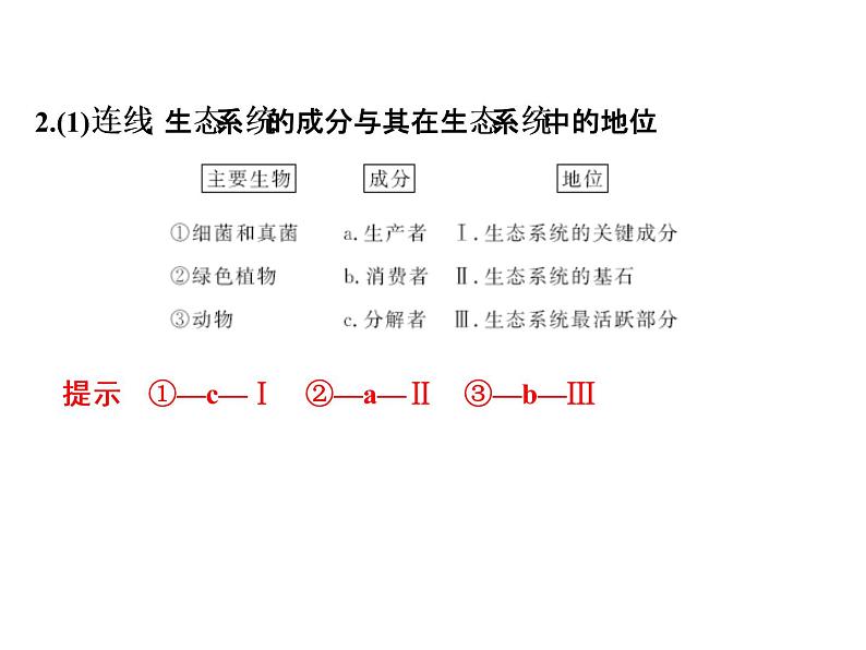 高考生物一轮总复习课件：专题20 生态系统及生态环境的保护第7页