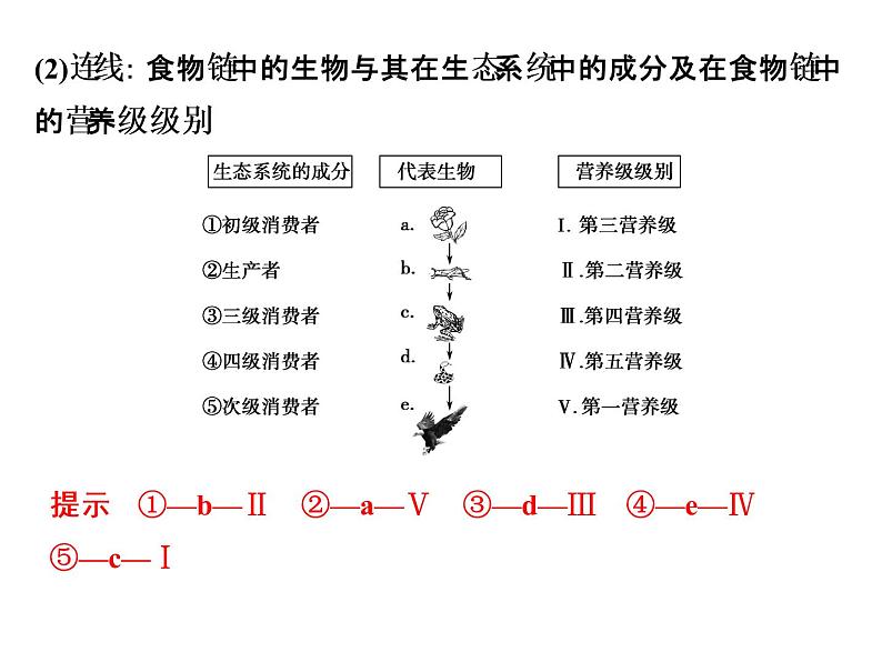 高考生物一轮总复习课件：专题20 生态系统及生态环境的保护第8页