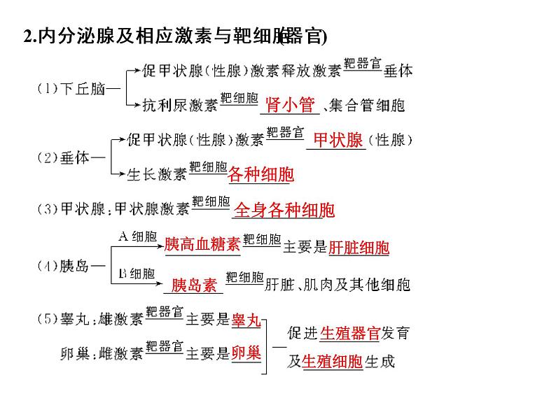 高考生物一轮总复习课件：专题16 通过激素的调节及神经调节与体液调节的关系04