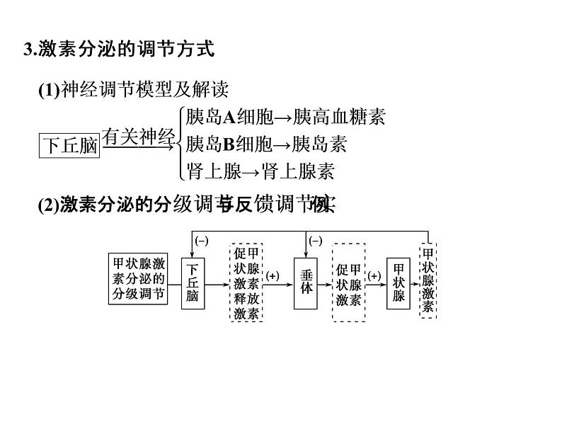 高考生物一轮总复习课件：专题16 通过激素的调节及神经调节与体液调节的关系05