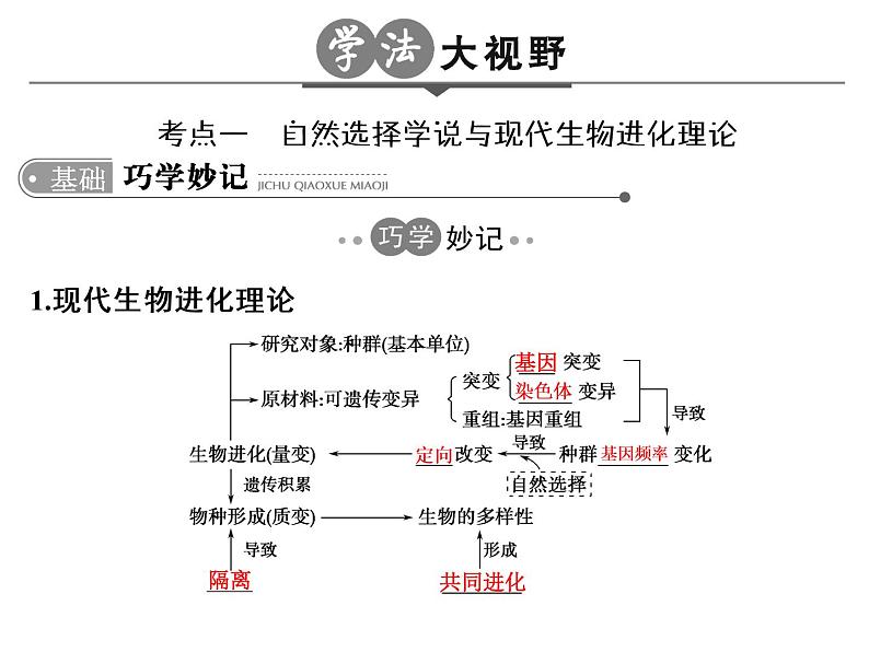 高考生物一轮总复习课件：专题13 生物的进化第3页