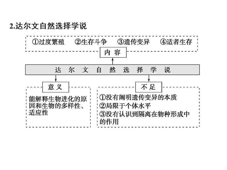 高考生物一轮总复习课件：专题13 生物的进化第4页