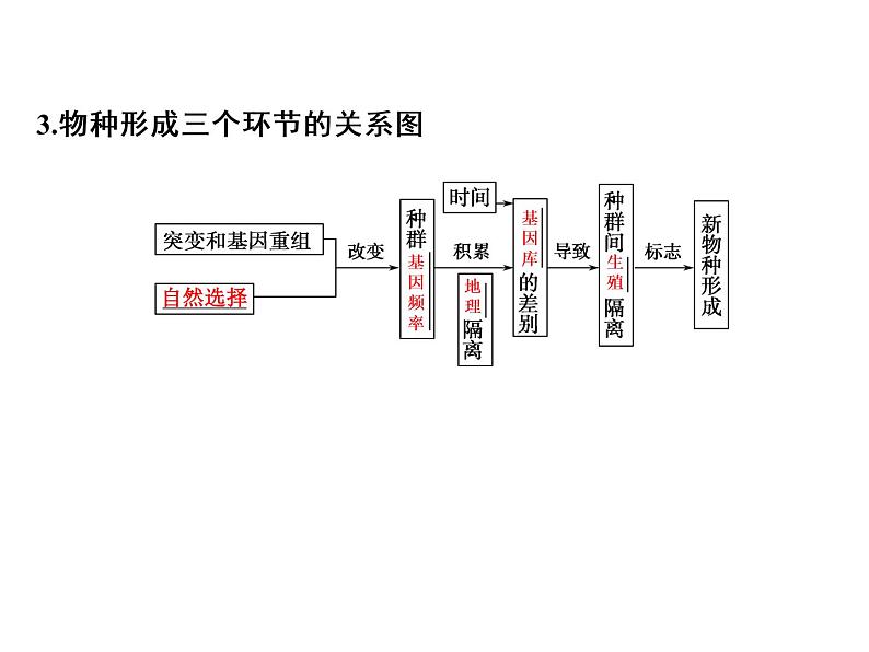 高考生物一轮总复习课件：专题13 生物的进化第5页